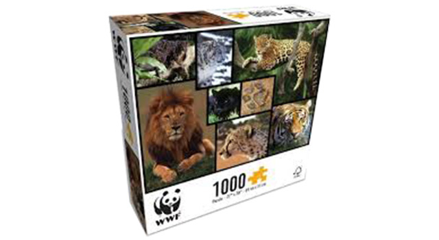 Wild Cats