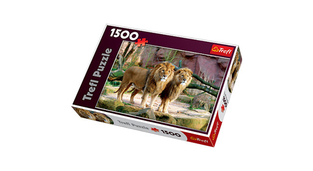 Lions