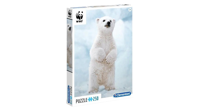 Baby Polar Bear