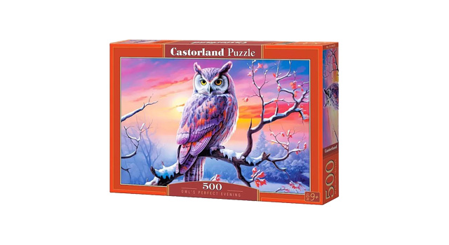 Owl's Perfect Evening