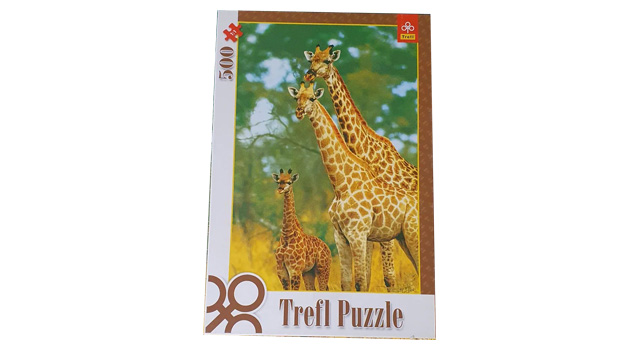 Giraffes