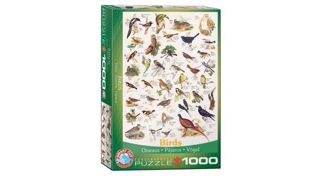 Birds