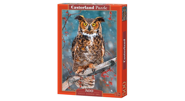 Great Horned Owl