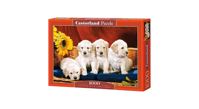 Puppies with Sunflower