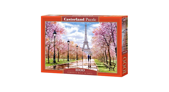 Romantic Walk in Paris