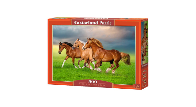 Horses in Spring Rush
