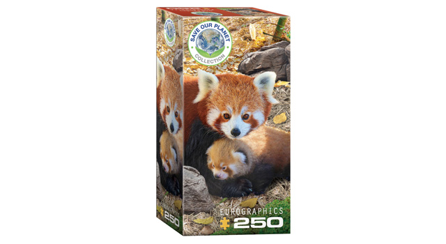 Red Pandas