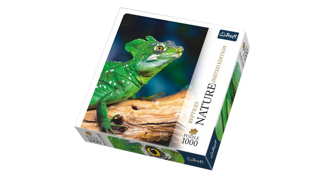 Lizard