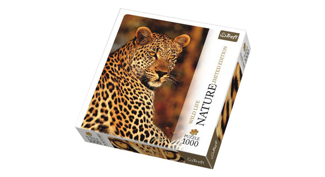 Wild Leopard