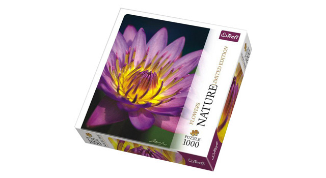 Water Lily