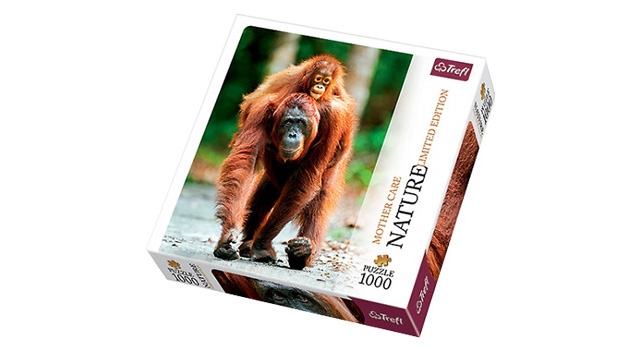 Orangutan, Indonesia