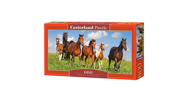 Horse Paradise