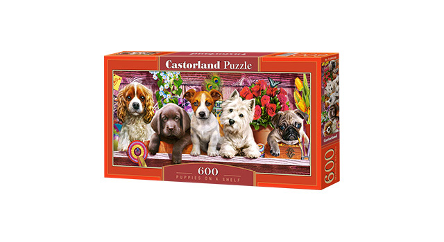 Puppies on a Shelf