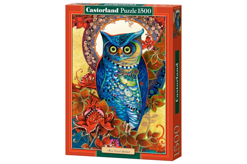 Copy of Hoot, David Galchutt