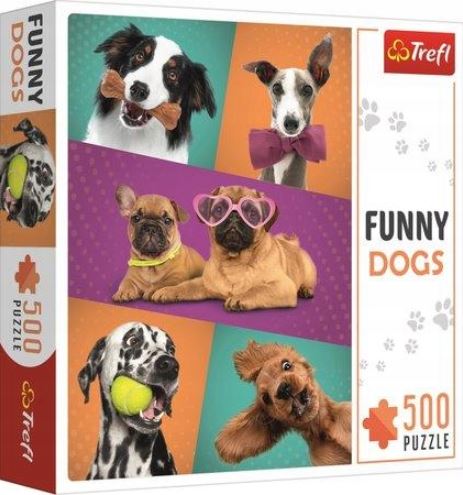 Funny Dogs