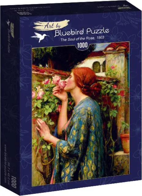 Obrazek pudełka