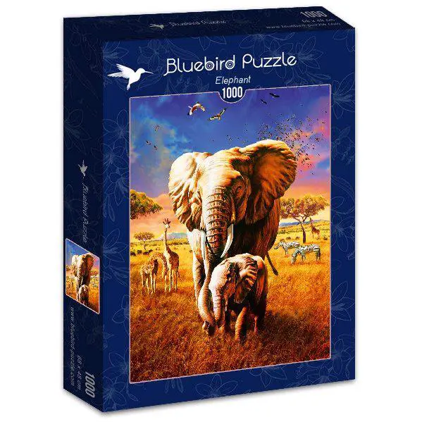 Obrazek pudełka