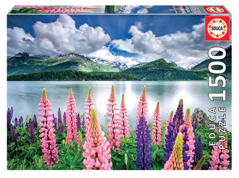 Lupins on the Shores of Lake Sils