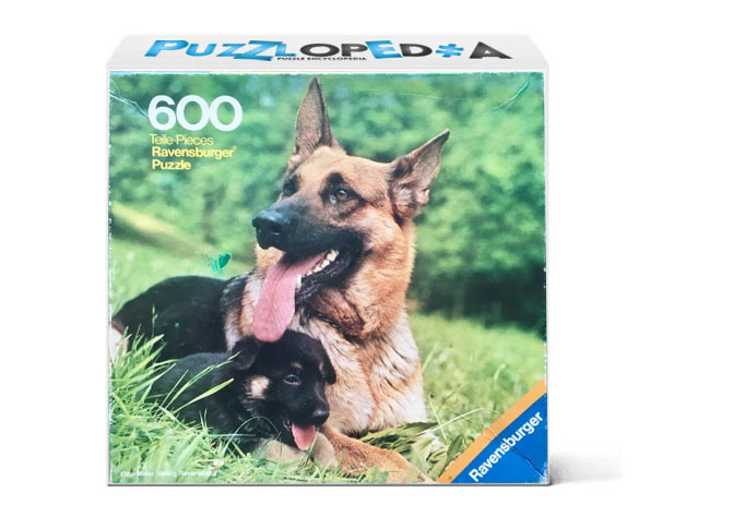 German Shepherd Dog With Puppies