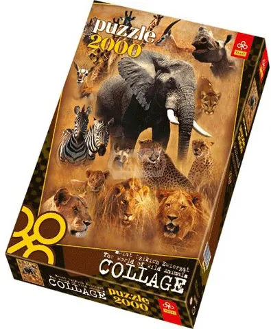 The World of Wild Animals