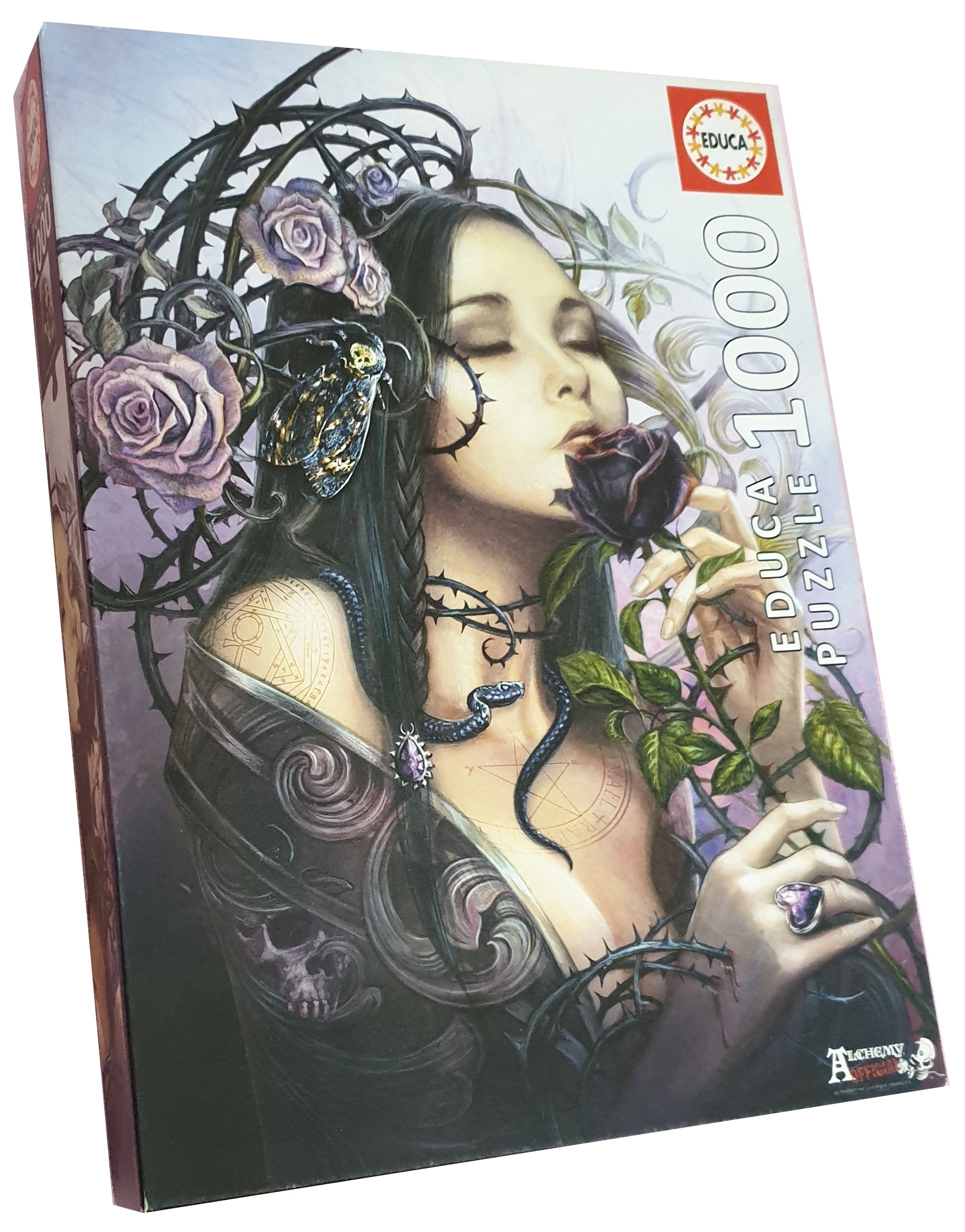 The Midnight Rose