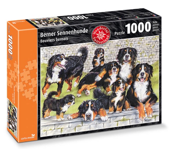 Bernese Mountain Dogs